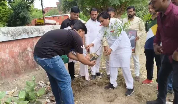 अखिलेश यादव के जन्मदिन पर सपा का 'पीडीए पेड़' अभियान, पर्यावरण के साथ 2027 चुनाव का भी दिया संदेश