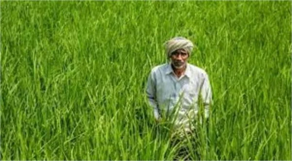 अब दिन में ज्यादा मिलेगी खेती के लिए बिजली, UHBVN ने बदला शेड्यूल; रात में कम लोड वाले फीडर ही रहेंगे चालू