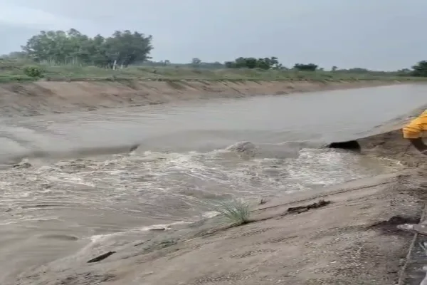 टांडा में रजवाहा कटने से 100 बीघा धान की फसल डूबी, खड़ंजा मार्ग भी बहा